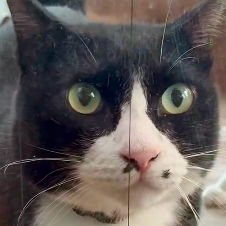 470f1cc5 8d15 4b57 94f5 2d420c71f8ff 1755519459797