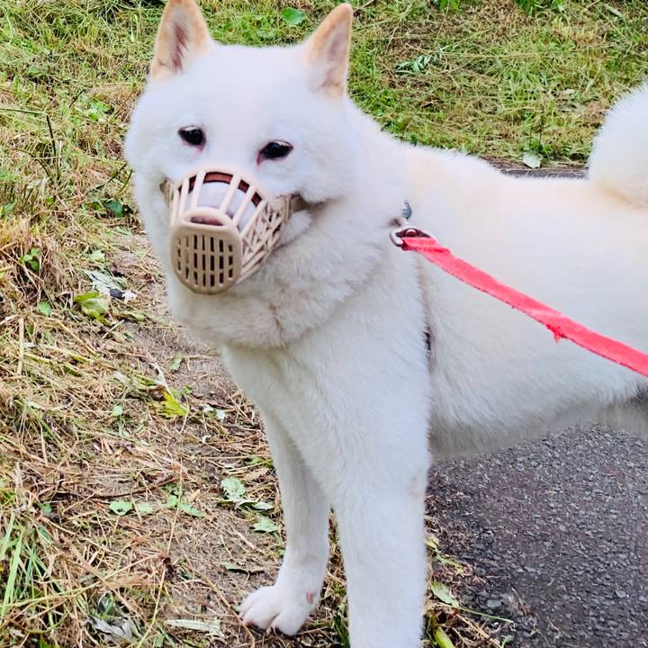 470f4afc 3594 40d5 b3dd d58e4101a37e 1595536603723