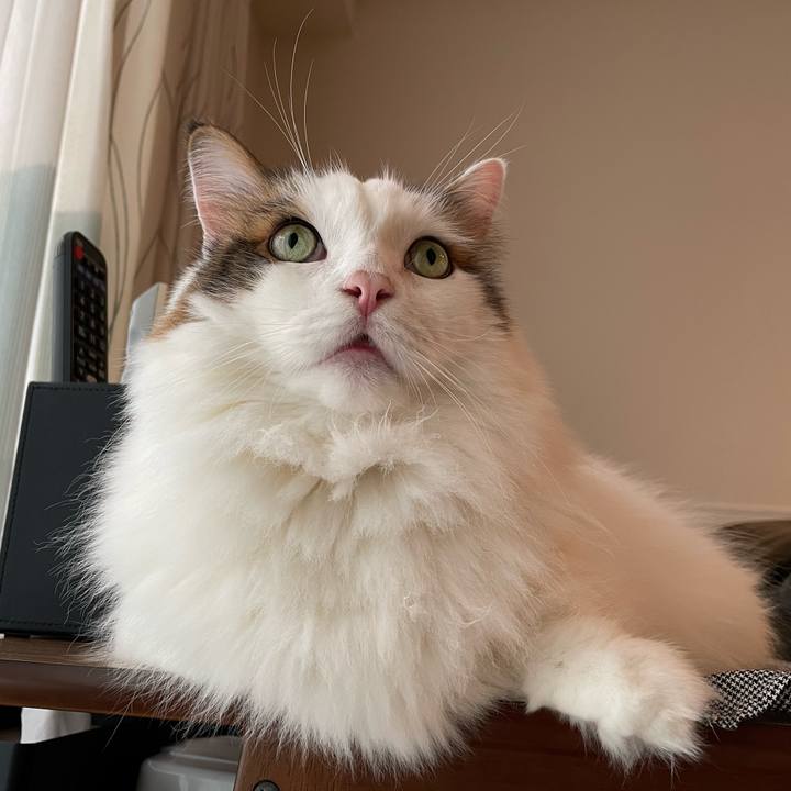 470f6168 0e8e 4fb2 8ab2 8532c21ca7c5 1761382101072