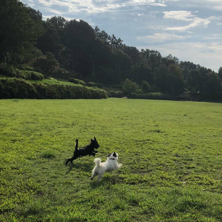 470f68bf 9911 446a a708 28f1d2e4d835 1538088790455