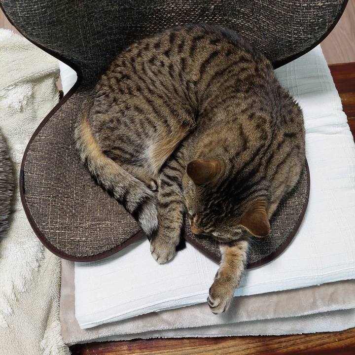 470fa354 de6a 48a9 96d4 b7ef0ecd7165 1710109577090