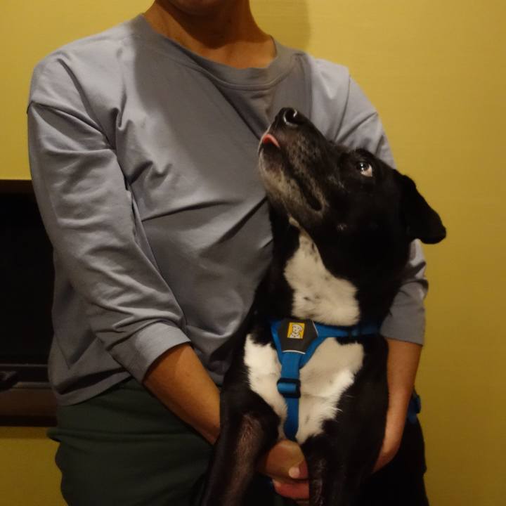 470fc0d5 59f6 43d2 96d7 93193c032008 1696933537631