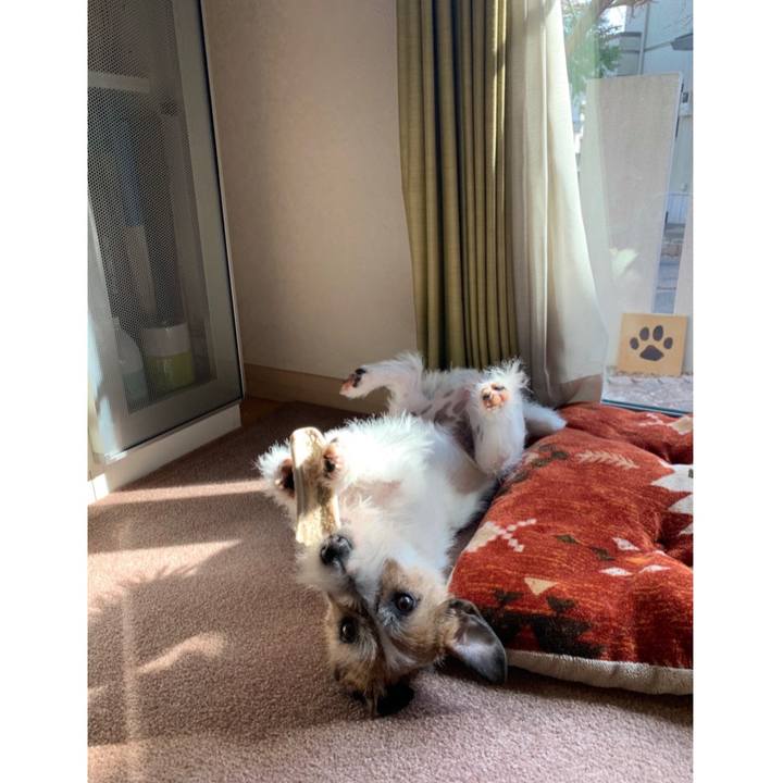 471002ba 8d0a 43c7 a9b0 f95b68edd373 1584942771412