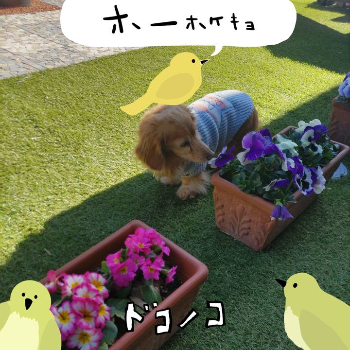 471007cd 8608 47c6 acc7 82ffdd5aef91 1711521285040