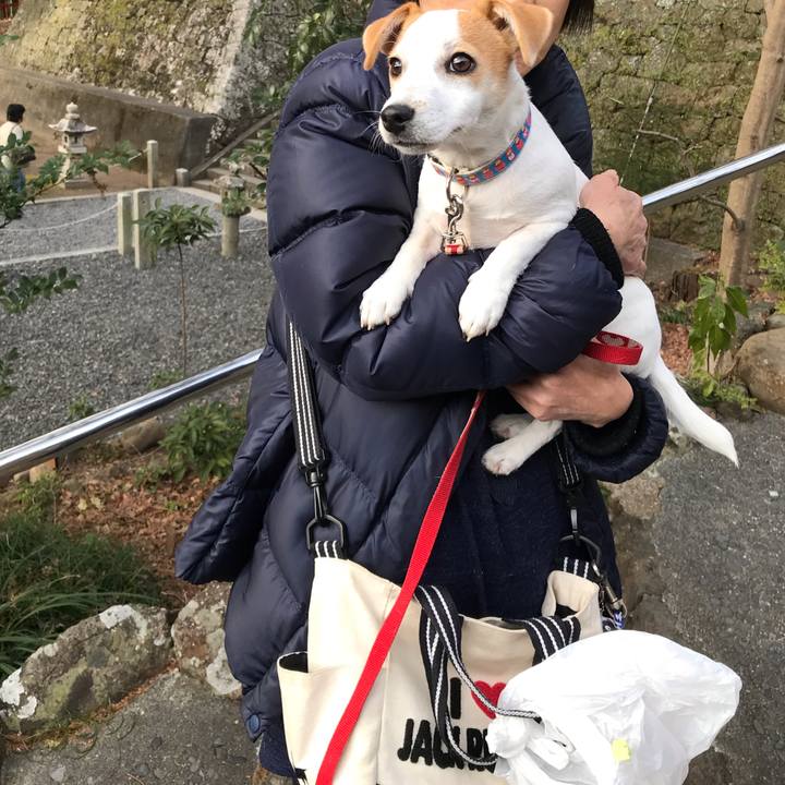 4710110d d8f0 47c7 9fcc 19be198bdfe0 1549196622078