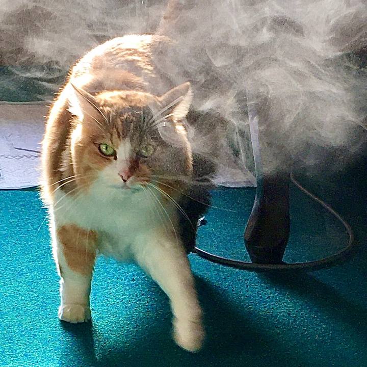 47104202 d49e 4def 8562 eec55029a933 1575358694266