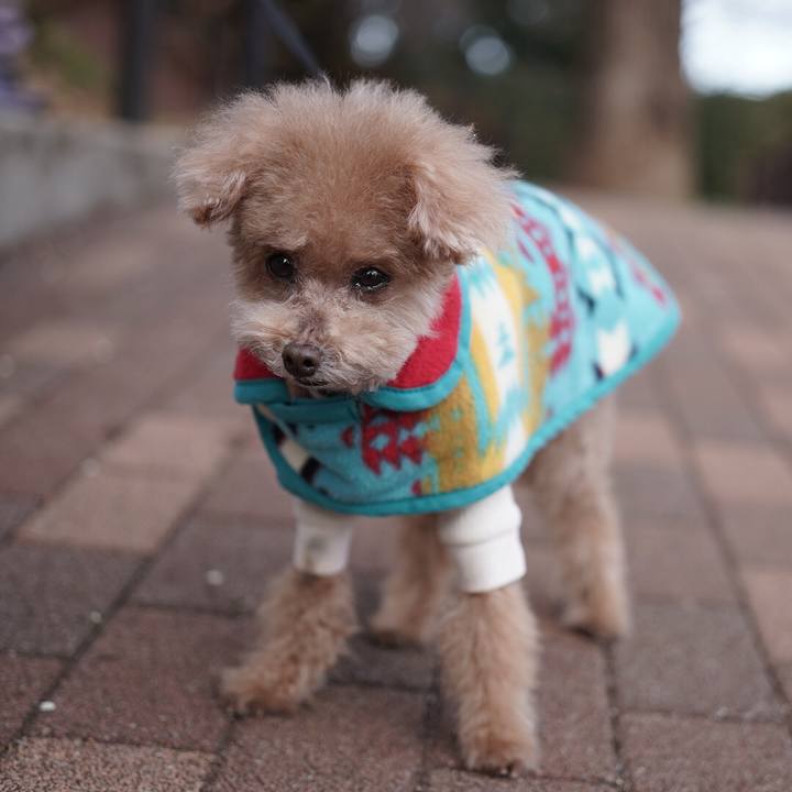 47104bea 3c94 4ea8 a947 f37faccbddfd 1675072193016