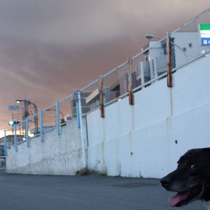 47105221 0f28 4741 ac8f a86324d8ac12 1717497549490