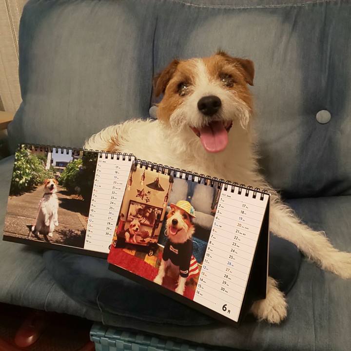 4710a955 62f4 4805 9641 8856543dd3fd 1622628654501