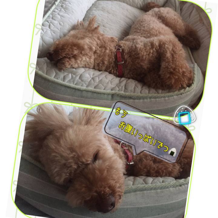 4710bbd9 1019 423a bd5c eabf13c2e126 1534585194006