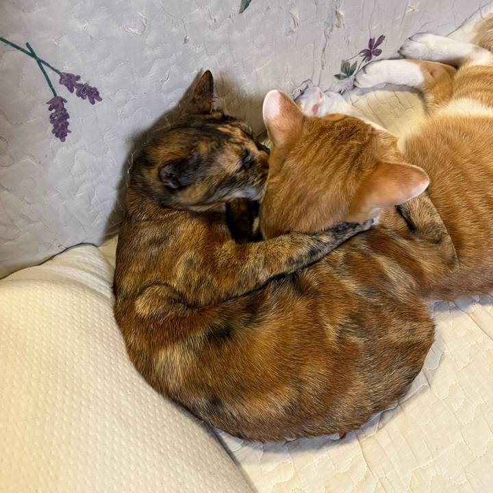 4710f82c f7d8 4a75 89aa de2a6b1e78c0 1674809521384