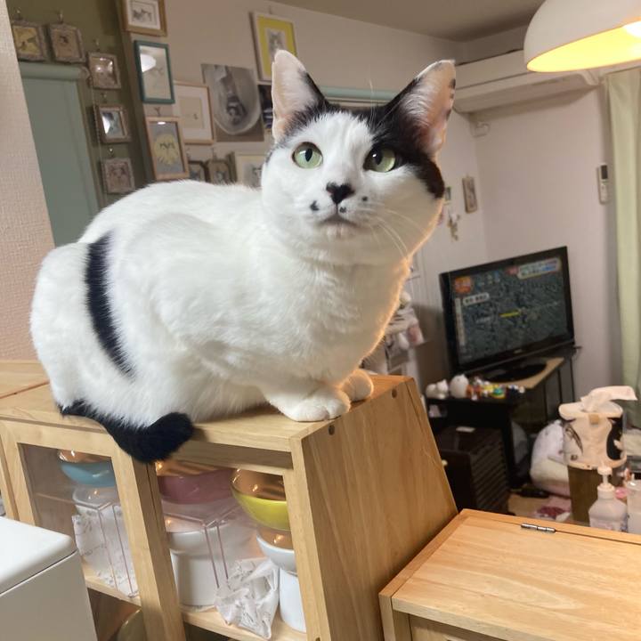 47110384 7dc4 4d99 80fc 629f16090958 1774558439332