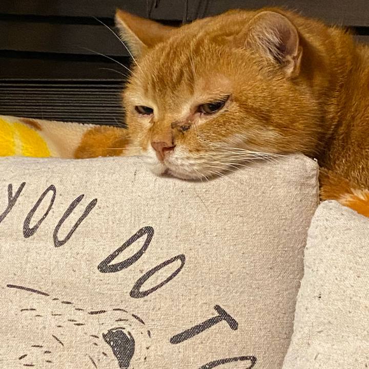 47111549 5d16 4efd aff5 b6849ceb0d5b 1613312778928