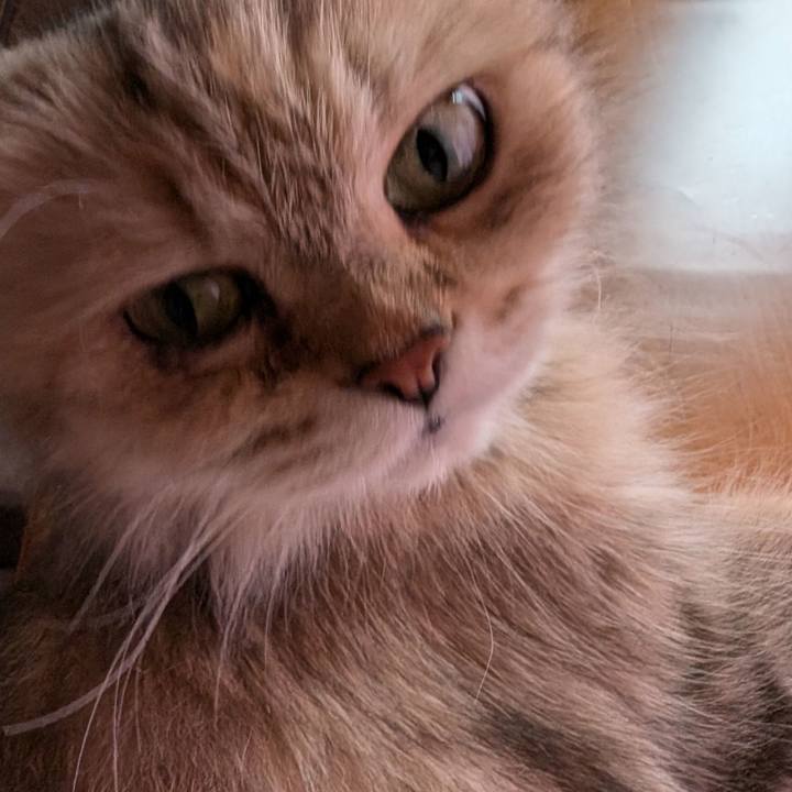 4711191e 11cf 4079 8a81 5d92805b1767 1722159913929