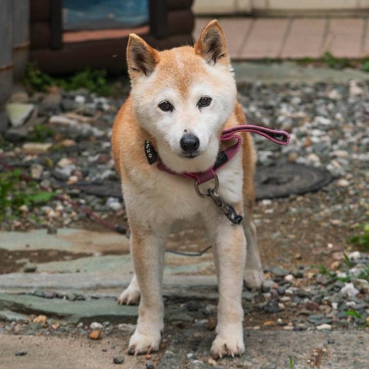 47113385 2f95 4a50 b52a 97047446e834 1720314643711