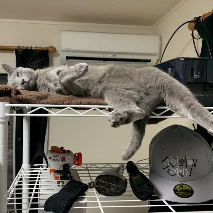 47114cb6 fd47 497d 83ac 7898586db30c 1612709157027