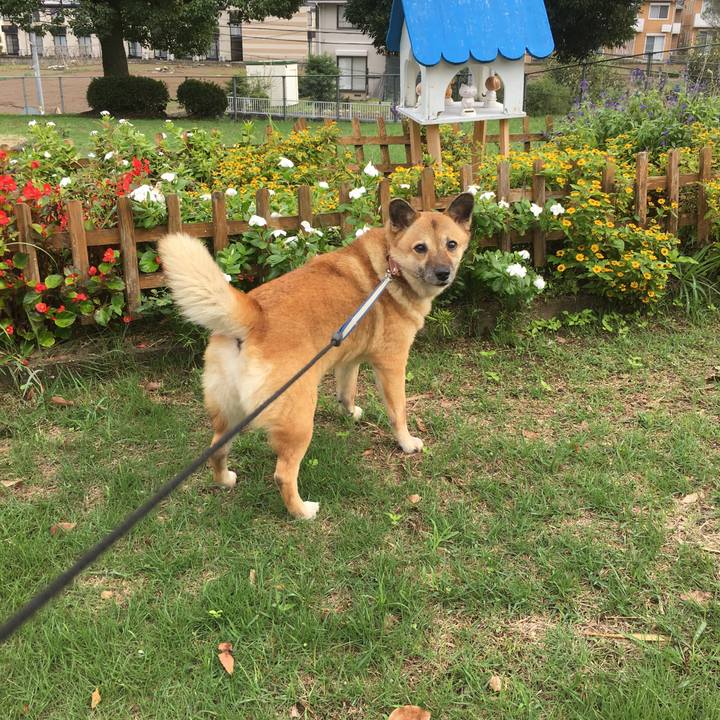 47116138 cc3d 46cd b4eb 2885ffbded3b 1536881995959