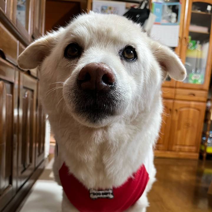 47116893 5a16 49ee 852b 8d0731d2d9f7 1763166013023