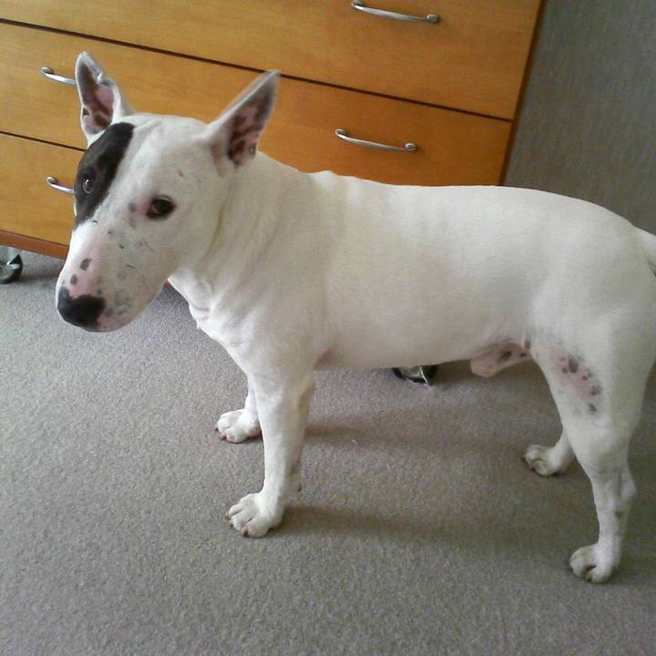 47118256 b89c 465e a93e a61dfdda07fd 1521350576142