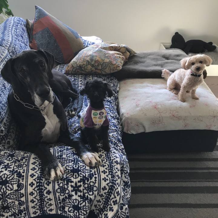 4711983b f83e 4b24 9a44 00f9d853a9a1 1524177818395