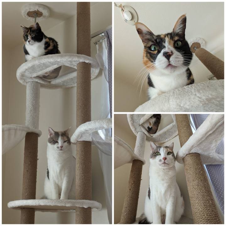 4711a5ce c1af 4aa0 a3a0 910101192f99 1704857655510