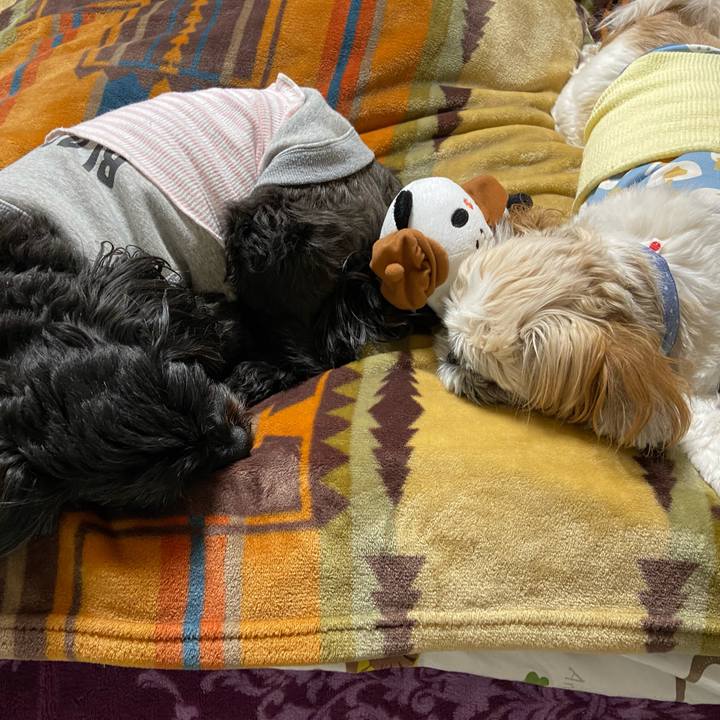 4711c857 678d 4fdf b257 645115784427 1646099458673