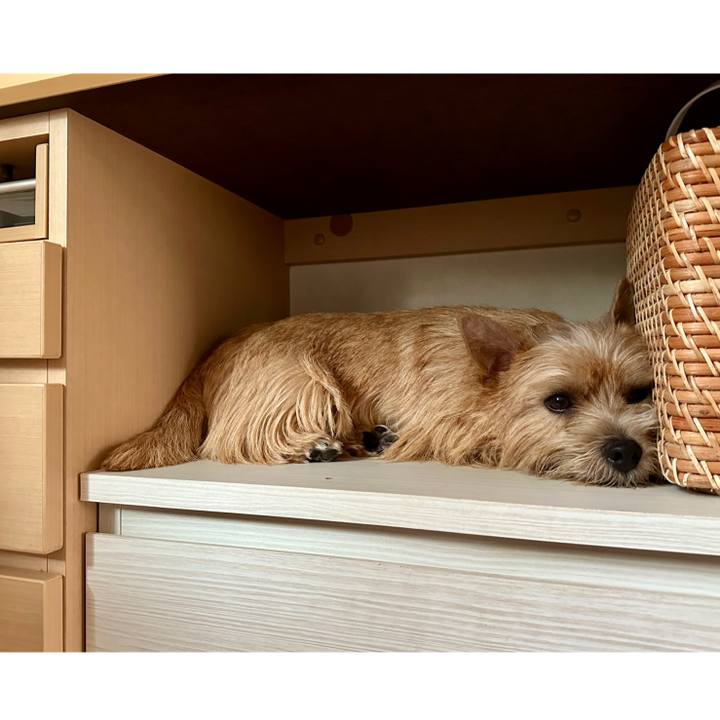 4711d860 ca44 4bbb b961 2ef93bd8ec13 1757055564131