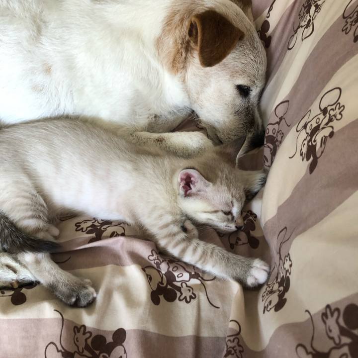 47120c18 a860 42fa aba7 4ca3d3cfb722 1598078971549