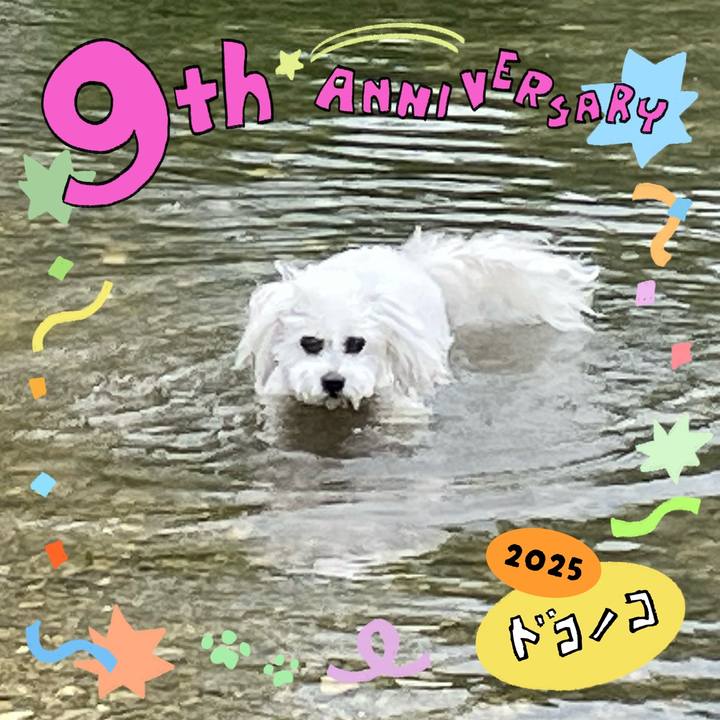 47124c8e 94ee 4d09 bf14 5ca24dfb2f34 1749191305762