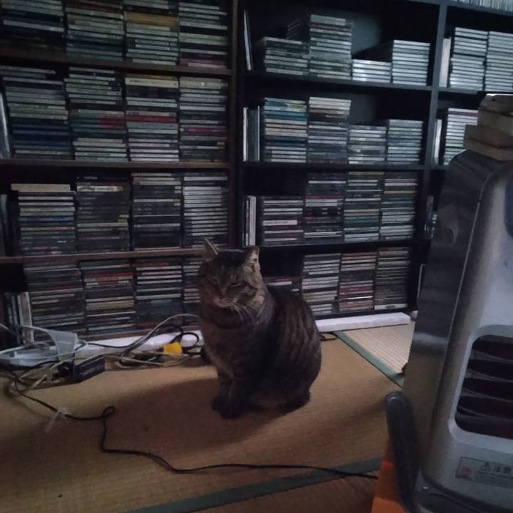 47125c3c 9b55 44d5 ba09 89016318e5b5 1679435969769