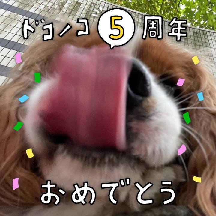 4712fceb 278e 4108 a20d 6b5a62f09bd3 1622979699445