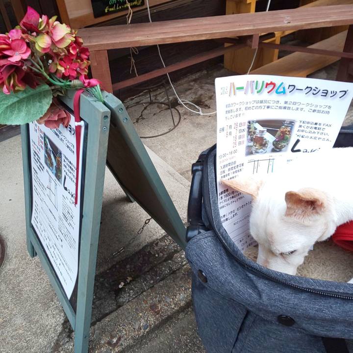 47132e74 425d 4818 8f38 47ac64e9656b 1564521537102