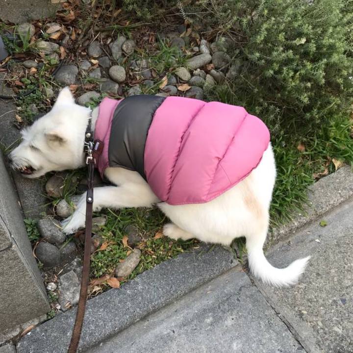 47135ffd d162 450e a919 12abcfd477e1 1769342969624