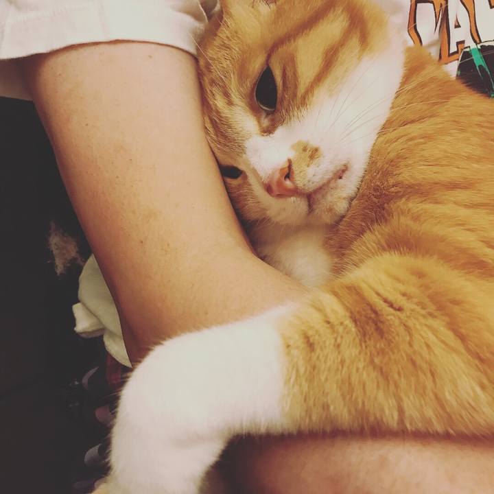 4713903c 57b0 4de0 b99e 31a389a1e13a 1531498421345