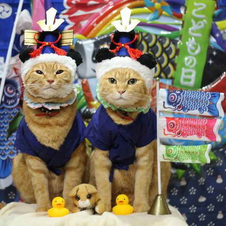 47139d7f 3d65 49ba 9081 b899e30fcdad 1524239924551