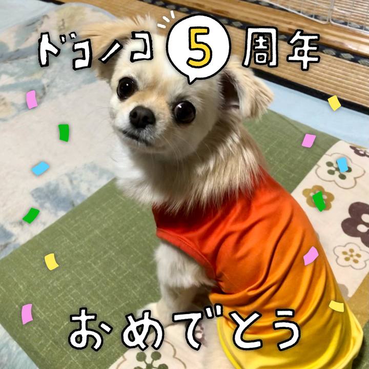 4713a365 49bc 46c6 8cc0 d57903cce434 1623424402633