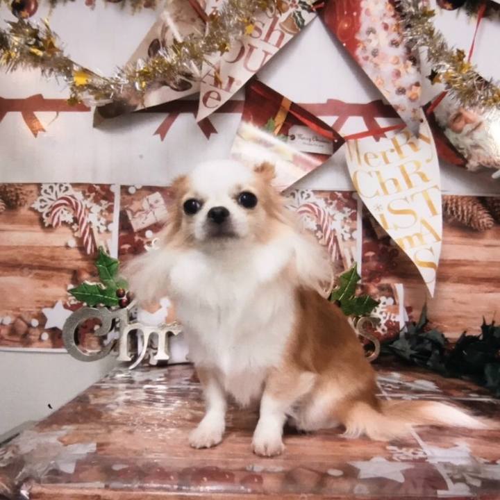 4713a539 0895 4dbe 91a8 c7a8eaf07644 1573738469183