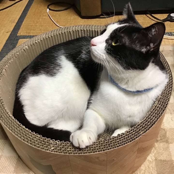 4713c388 9db4 40ae 8e6f 8e699677e7de 1697629565898