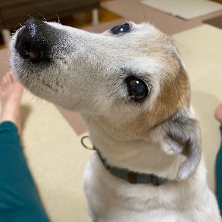 4713cf5e 6389 4091 b97d 949e54da915e 1656722280884