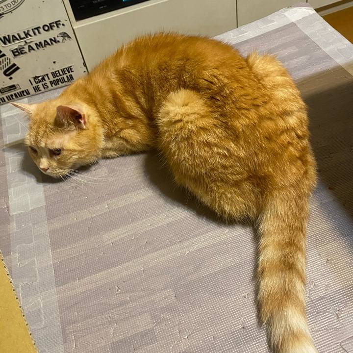 4713d2be ebb5 4fdc ae30 382ceccbb4c3 1621699441883