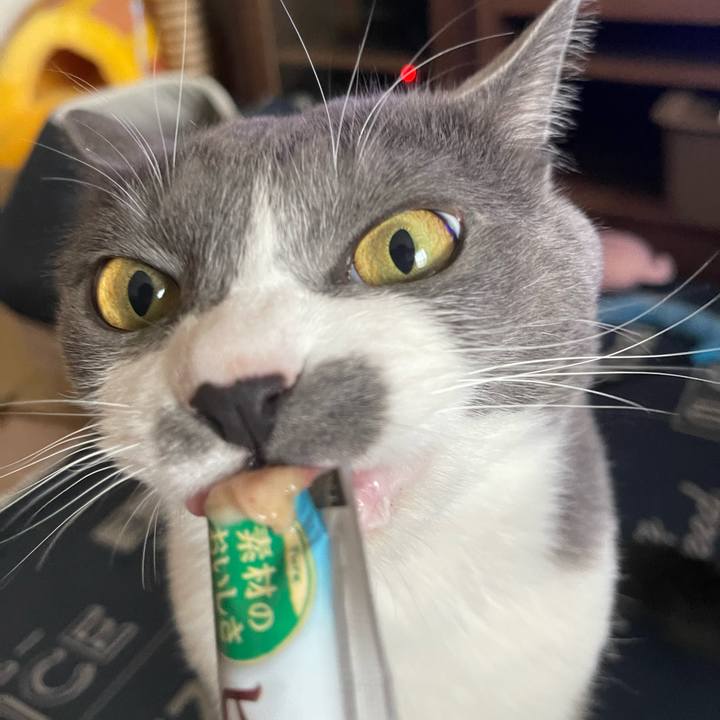 4713d7df 2f38 4b87 ada8 ff25956187da 1715930385390