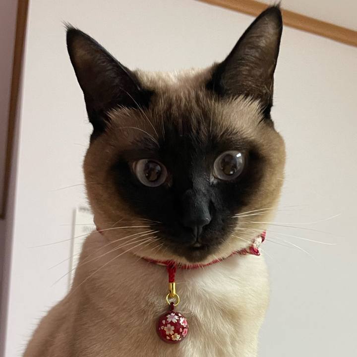 4713ddf5 12f8 42c8 87f2 8bd607e7f771 1736719342497