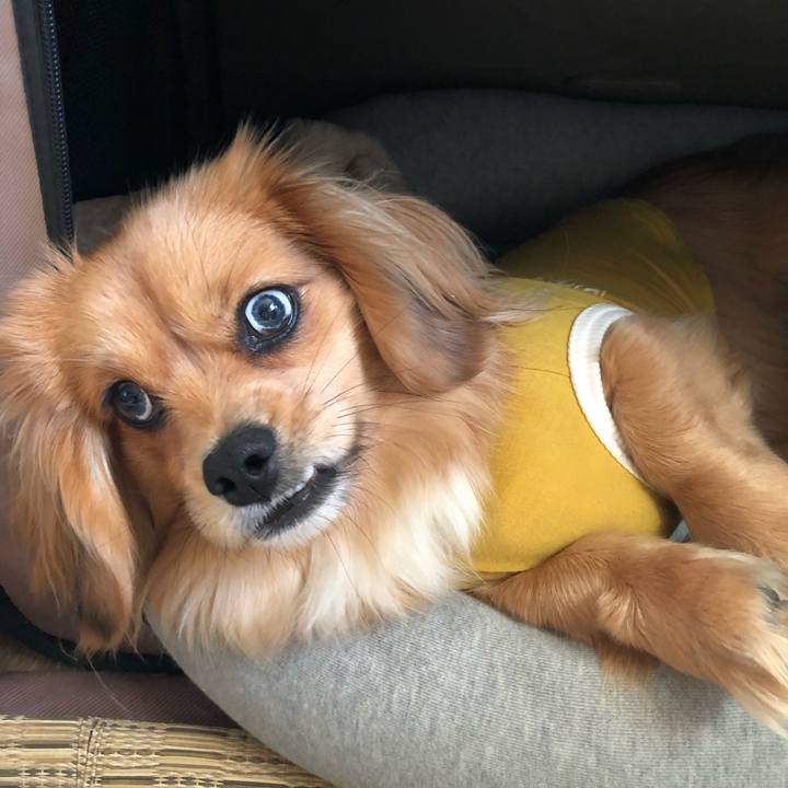 4714059e ca83 4482 a7f9 e1a8b1609578 1521326681839