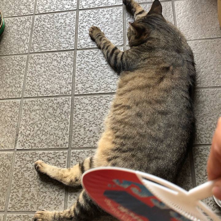 47141284 9960 4abc 8a64 7b68c64a8dc8 1564662034818