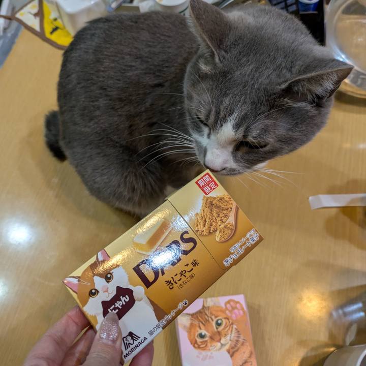 471449b8 7be4 4be8 b0ad d540f2596417 1740138679108