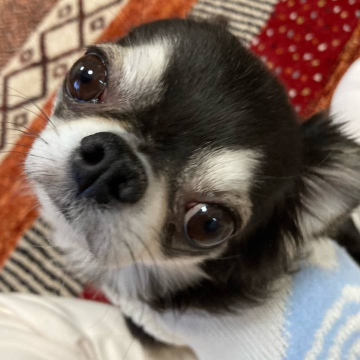 47146d27 6758 40ff 9f31 326d87ab56b8 1672482554244