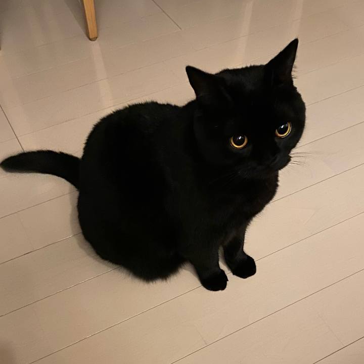 4714c0ae 65d5 4fa2 8843 b8a8d7dcc118 1636448413030