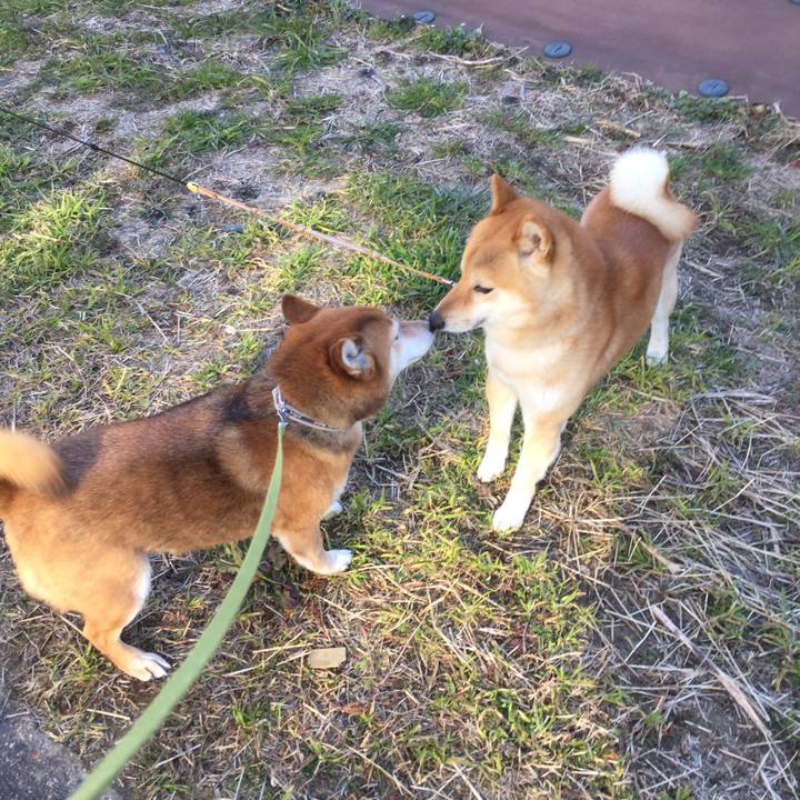 4714d561 0164 478f 80ec 0fd5477dab88 1581379589558