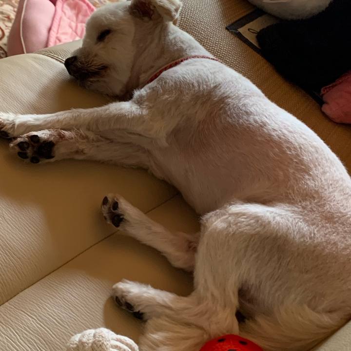 4714f8bd d97f 4373 b8a8 03405e137297 1597722402719