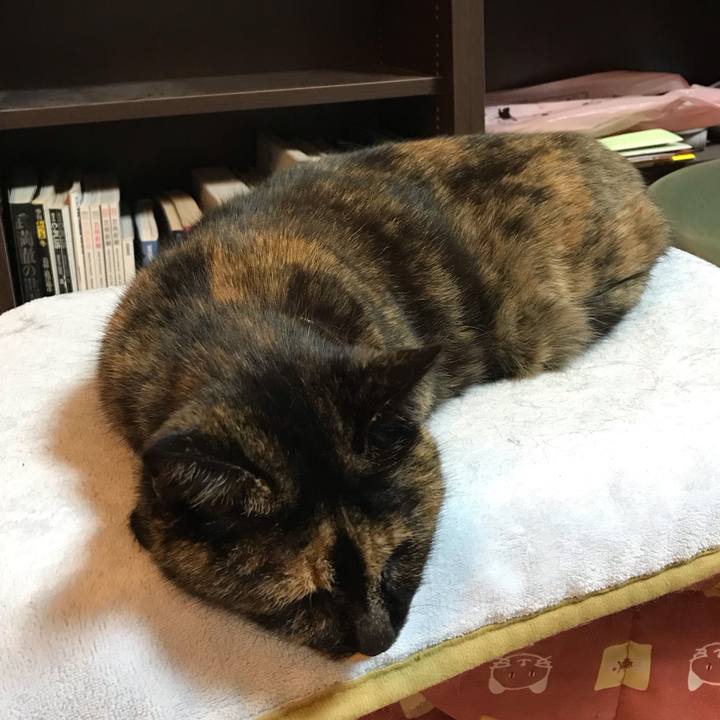 4715352a fc2f 4326 b5a2 fce32415c799 1576941106870